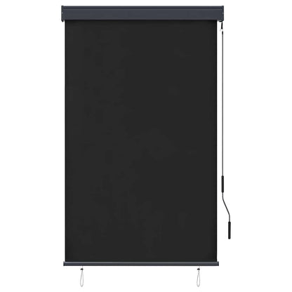 vidaXL Outdoor Roller Blind 100x250 cm Anthracite 2