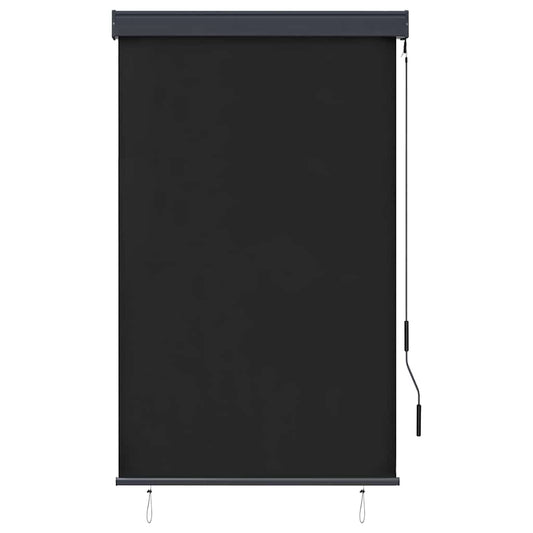 vidaXL Outdoor Roller Blind 100x250 cm Anthracite 2