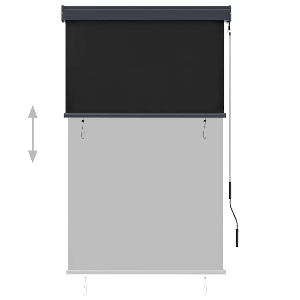 vidaXL Outdoor Roller Blind 100x250 cm Anthracite 3