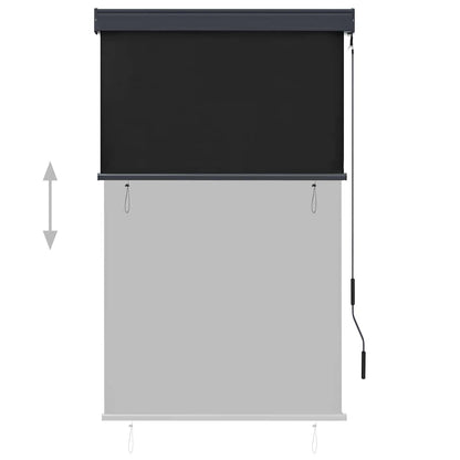 vidaXL Outdoor Roller Blind 100x250 cm Anthracite 3