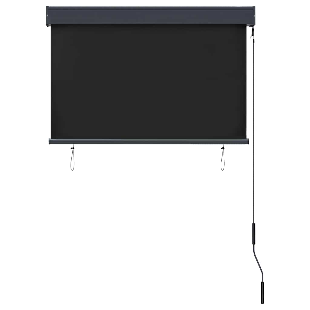 vidaXL Outdoor Roller Blind 100x250 cm Anthracite 4