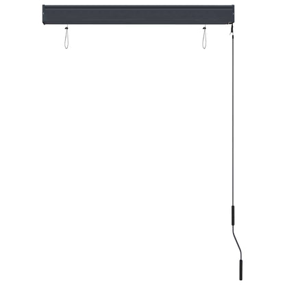 vidaXL Outdoor Roller Blind 100x250 cm Anthracite 5