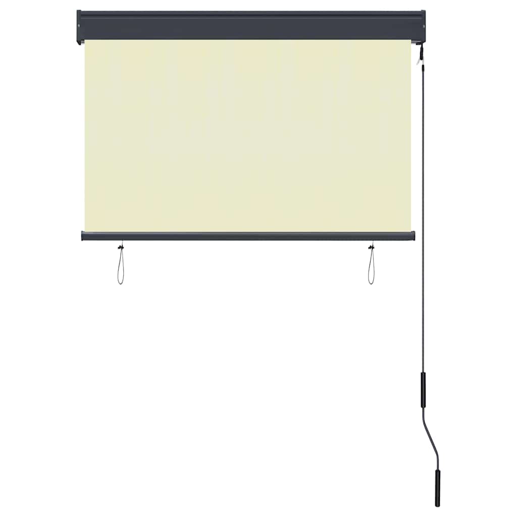 vidaXL Outdoor Roller Blind 100x250 cm Cream 4