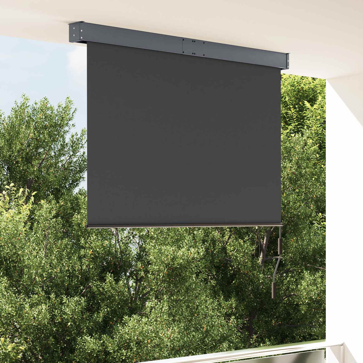 145970 vidaXL Outdoor Roller Blind 140x250 cm Anthracite 1