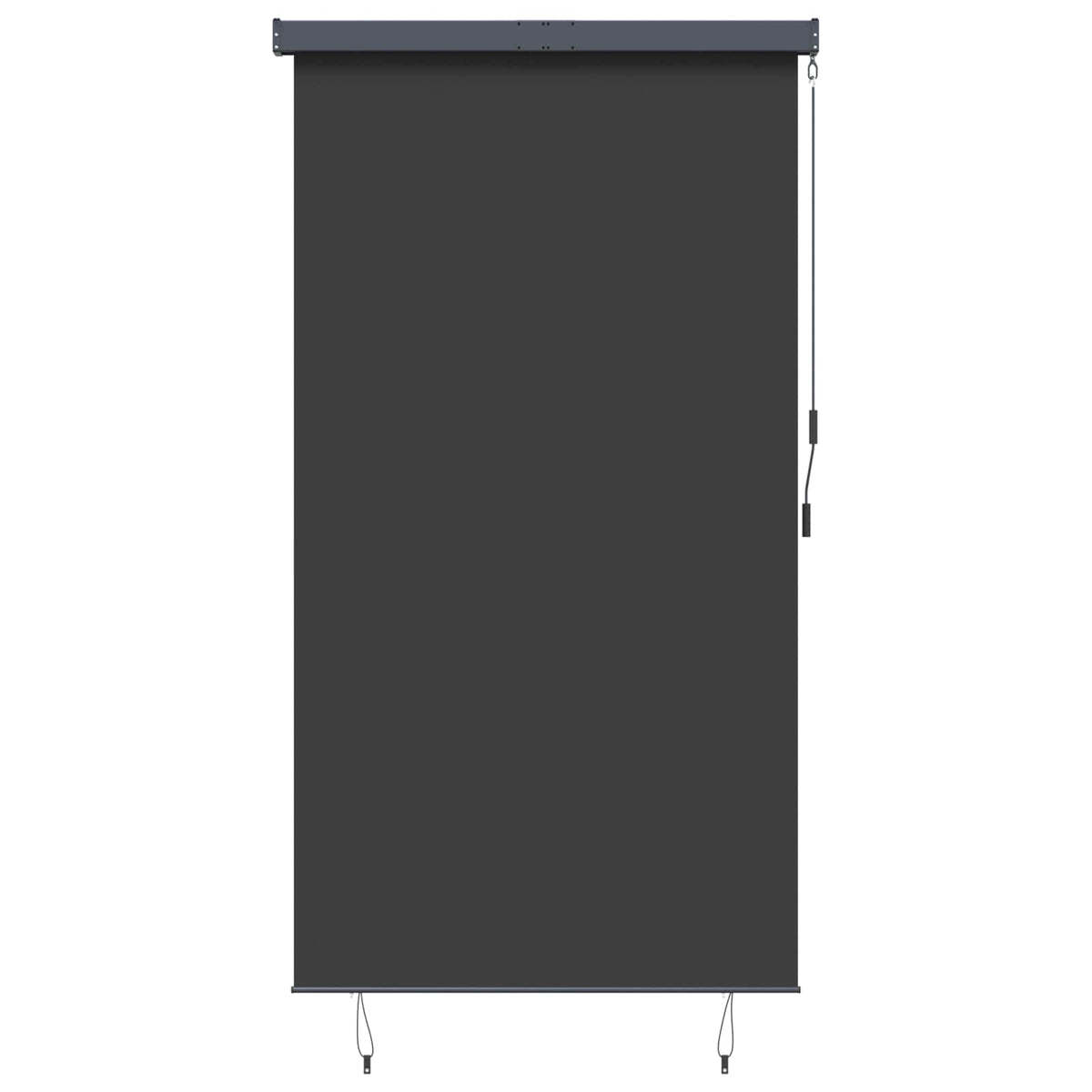 145970 vidaXL Outdoor Roller Blind 140x250 cm Anthracite 2