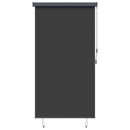 145970 vidaXL Outdoor Roller Blind 140x250 cm Anthracite 2