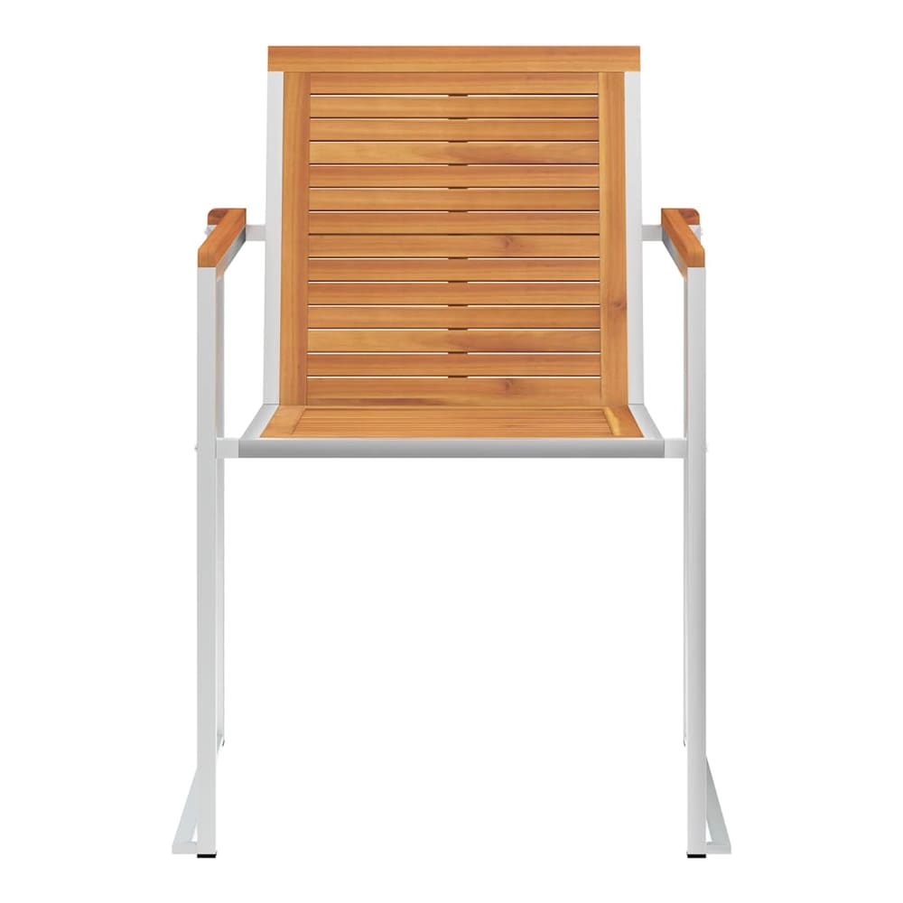 Garden Chairs and Stainless Steel 2