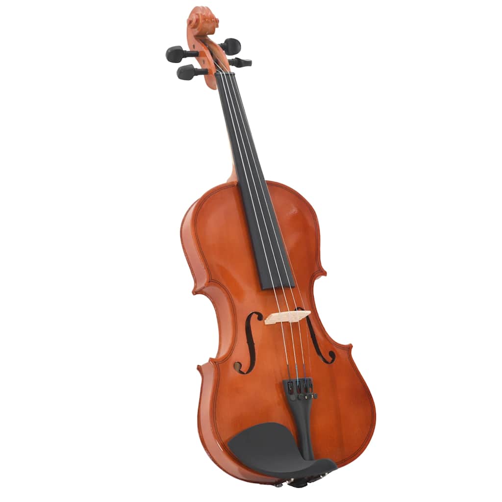 Violin Full Set with Bow and Chin Rest 4/4 Brown