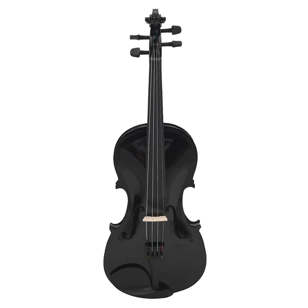 Violin Full Set with Bow and Chin Rest 4/4 Black