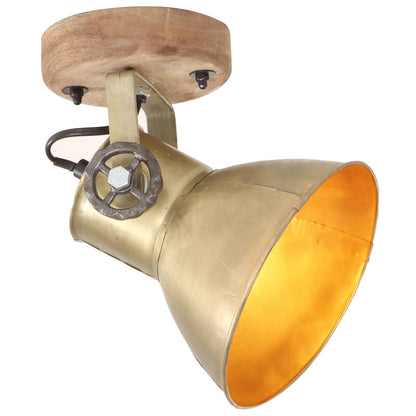 vidaXL Industrial Wall/Ceiling Lamps 2 pcs Brass 20x25 cm E27 2
