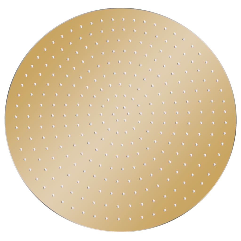 vidaXL Rain Shower Head Stainless Steel 40 cm Round Gold 2