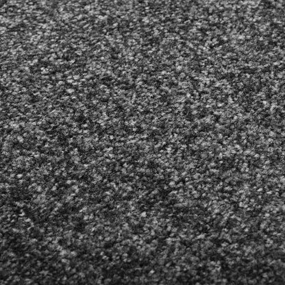 vidaXL Door Mat | Anthracite | Polyamide | Large | Non-slip | Door Mat 5