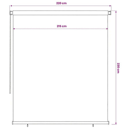 vidaXL Outdoor Roller Blind 225(W)x230(H) cm Blue HDPE 6