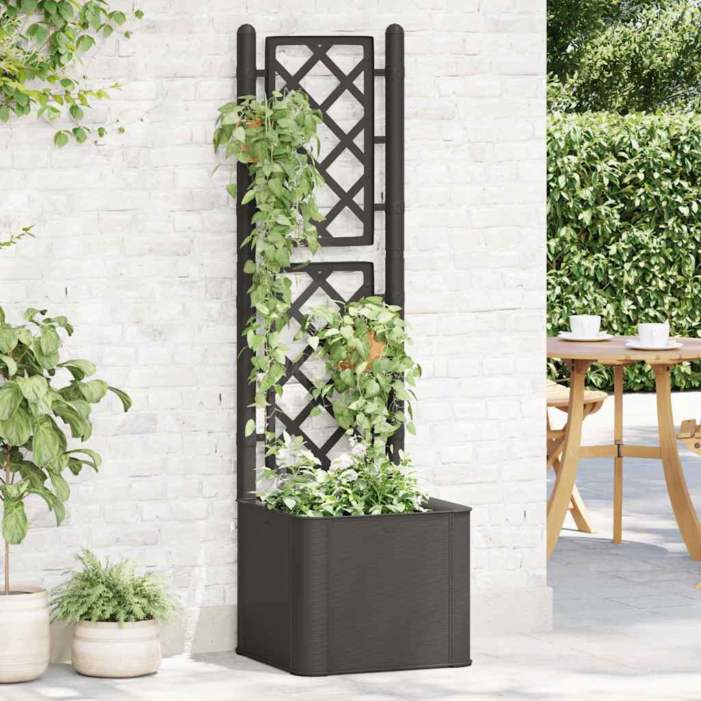 Garden Raised Bed with Trellis and Self Watering System Anthracite 43 x 43 x 142 cm