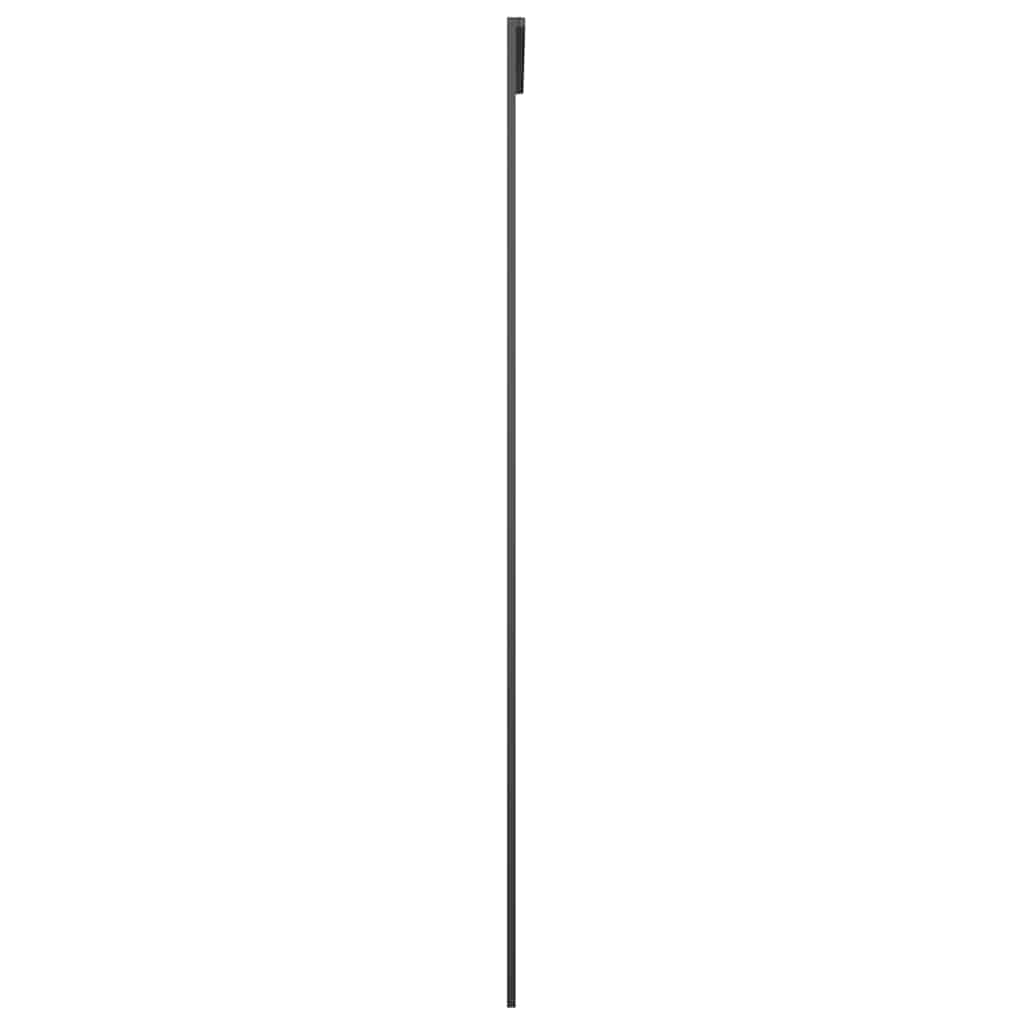 Sliding Door ESG Glass and Aluminium 76 x 205 cm Black Transparent