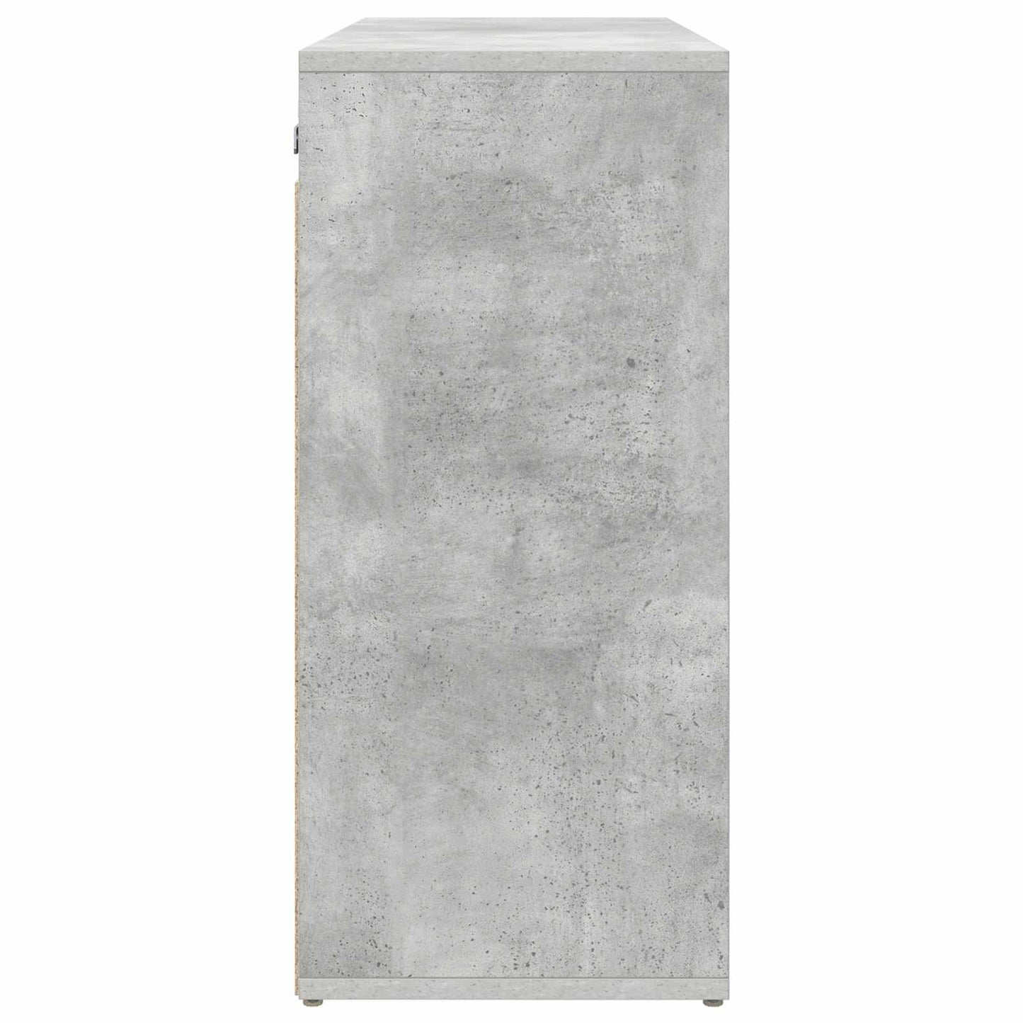 vidaXL Shoe Cabinet 77.5 x 30 x 67 cm Engineered Wood Concrete grey 6