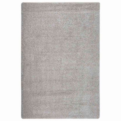 vidaXL Rug | Light Grey | Polypropylene | 140 x 200 cm | Rug | Rectangular 1