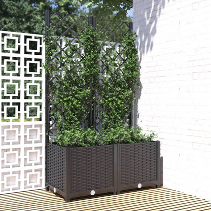 vidaXL Garden Black 80 x 40 x 136 cm 1