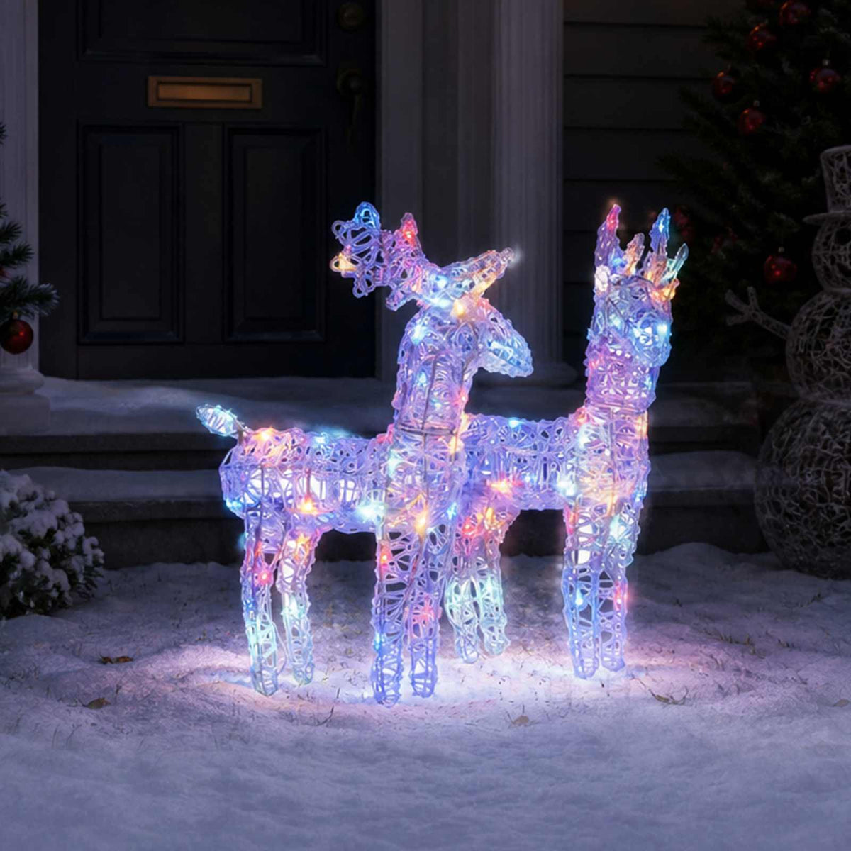 vidaXL Christmas Reindeers 2 pcs Multicolour 80 LEDs Acrylic 3