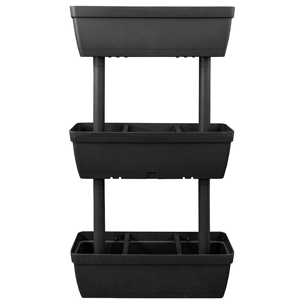 151823 vidaXL Garden Planter 6 pcs 100 cm Anthracite 4