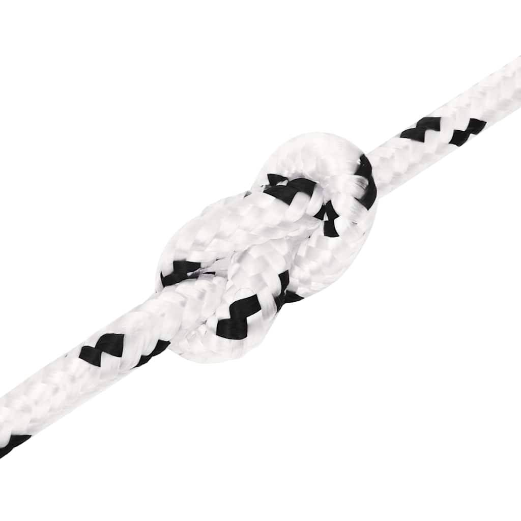vidaXL Work Rope White 10 mm 100 m Polyester 5