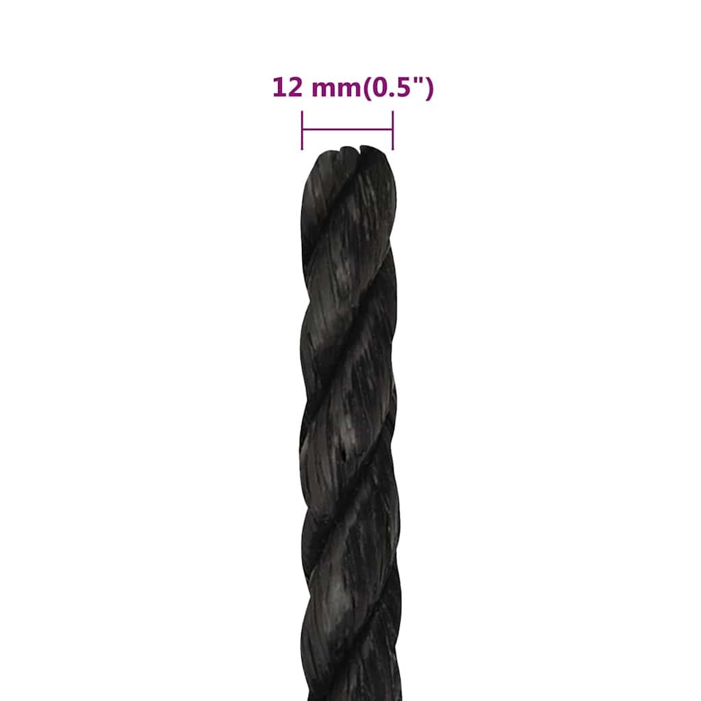 vidaXL Work Rope Black 12 mm 250 m Polypropylene 6