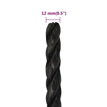 vidaXL Work Rope Black 12 mm 250 m Polypropylene 6
