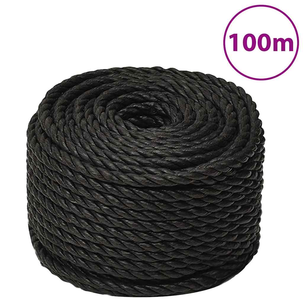 vidaXL Work Rope Black 16 mm 100 m Polypropylene 1
