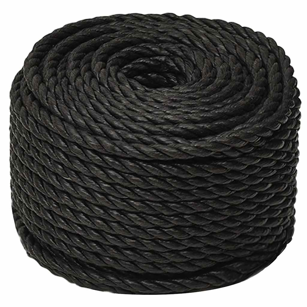 vidaXL Work Rope Black 16 mm 100 m Polypropylene 2