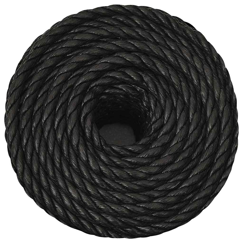 vidaXL Work Rope Black 16 mm 100 m Polypropylene 3