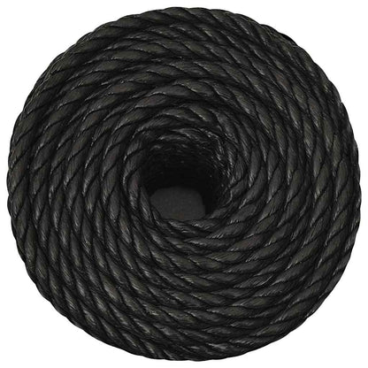 vidaXL Work Rope Black 16 mm 100 m Polypropylene 3