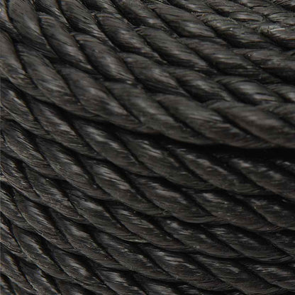 vidaXL Work Rope Black 16 mm 100 m Polypropylene 4