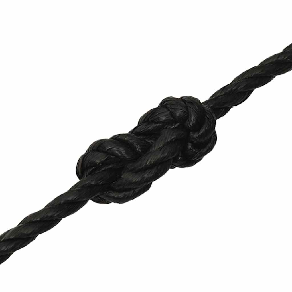 vidaXL Work Rope Black 16 mm 100 m Polypropylene 5