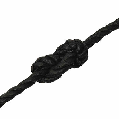 vidaXL Work Rope Black 16 mm 100 m Polypropylene 5
