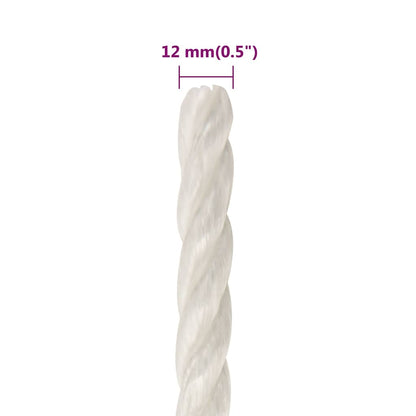 vidaXL Work Rope White 12 mm 250 m Polypropylene 6