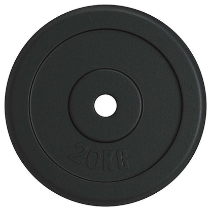 vidaXL Weight Plate 20 kg Cast Iron 2