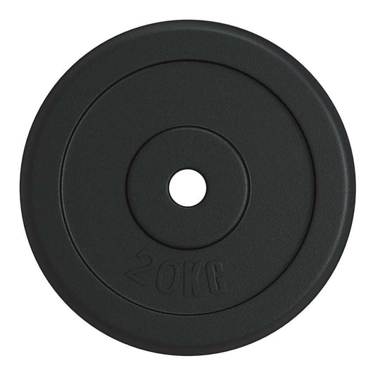 Weight Plates 4 pcs Cast Iron