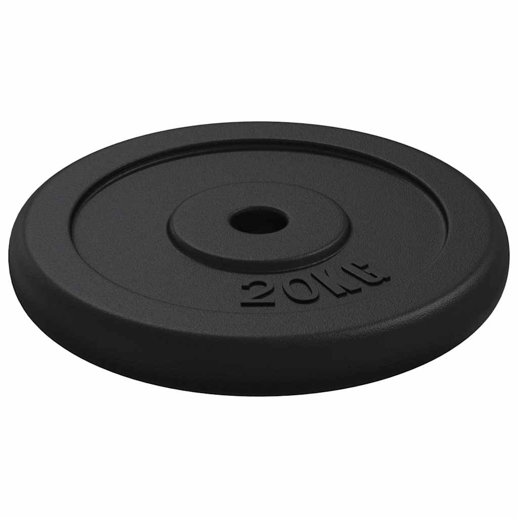 vidaXL Weight Plate 20 kg Cast Iron 5