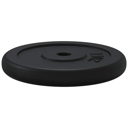 vidaXL Weight Plate 20 kg Cast Iron 6