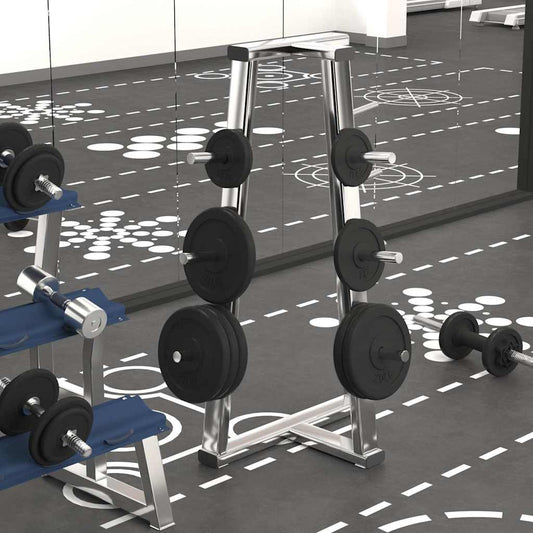 Weight Plates 4 pcs Cast Iron