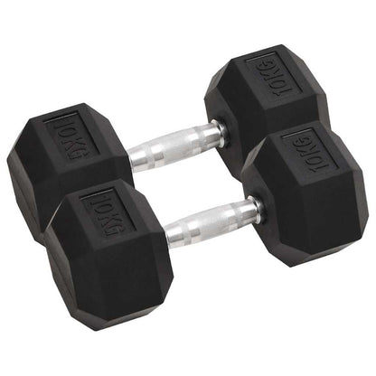 vidaXL Dumbbell 20 kg Cast Iron