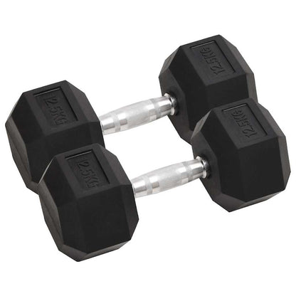 vidaXL Dumbbell 20 kg Cast Iron