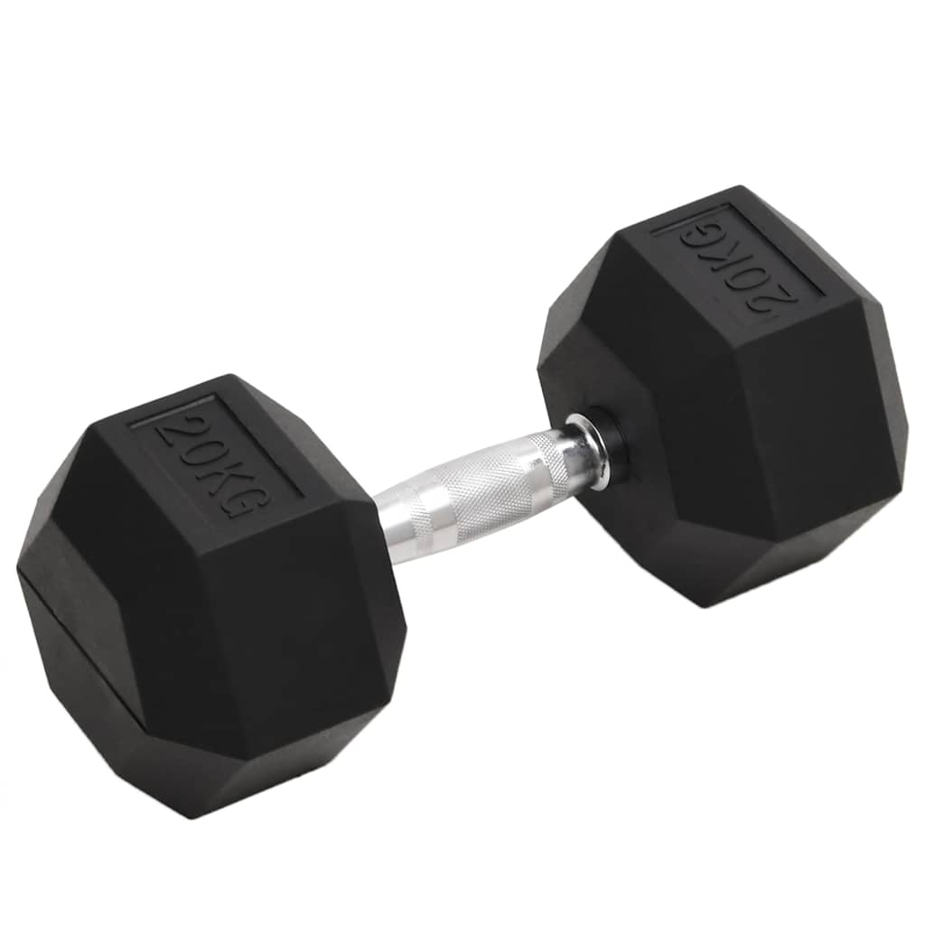 vidaXL Dumbbell 20 kg Cast Iron