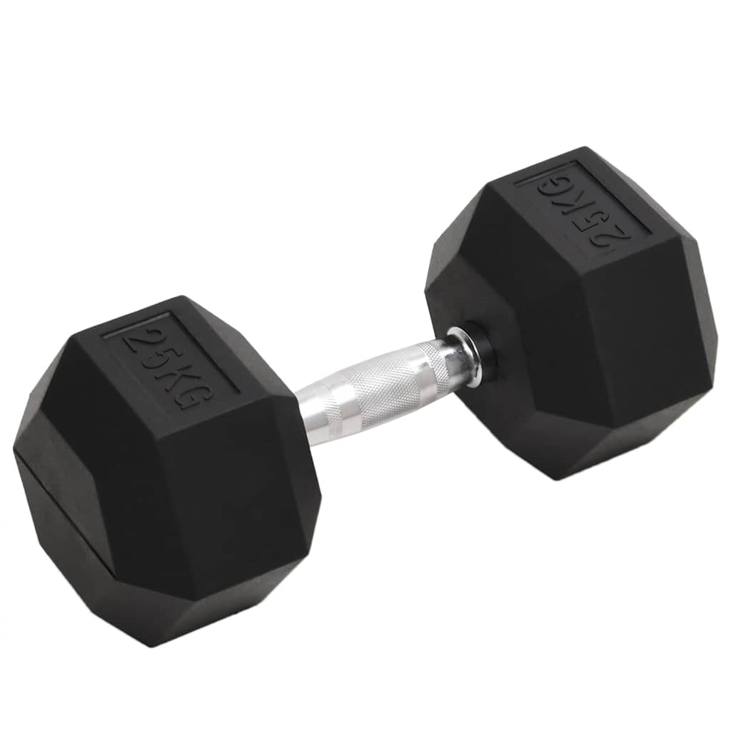 vidaXL Dumbbell 20 kg Cast Iron