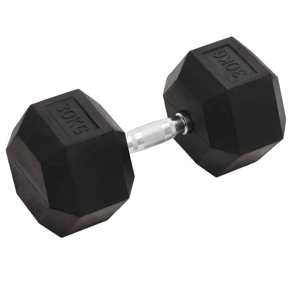 vidaXL Dumbbell 20 kg Cast Iron