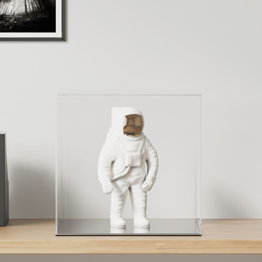 vidaXL Display Box Transparent Acrylic