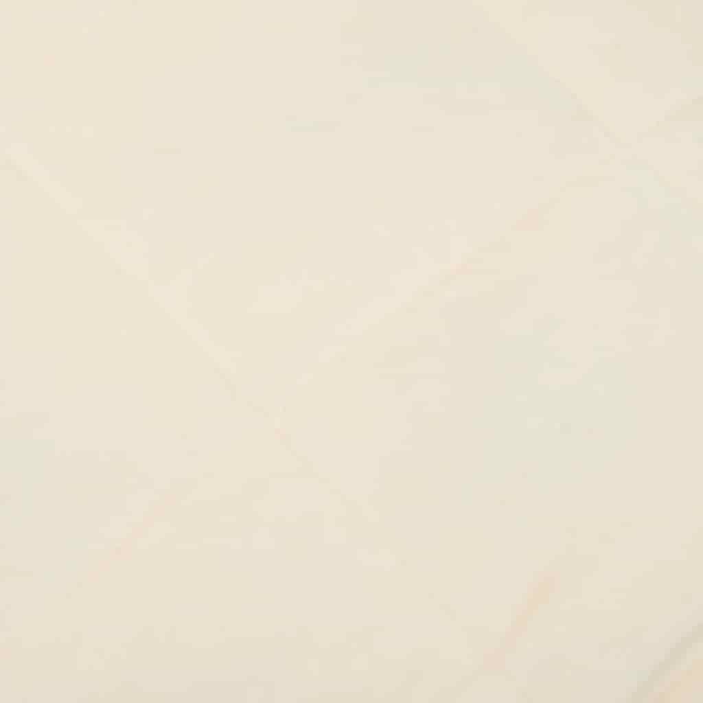 vidaXL Weighted Blanket Light Cream 200x200 cm 9 kg Fabric 4