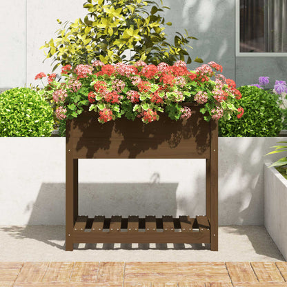 vidaXL Planter with Shelf Honey Brown 82.5x54x81 cm Solid Wood Pine 3