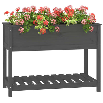 vidaXL Planter with Shelf Grey 111.5x54x81 cm Solid Wood Pine 4