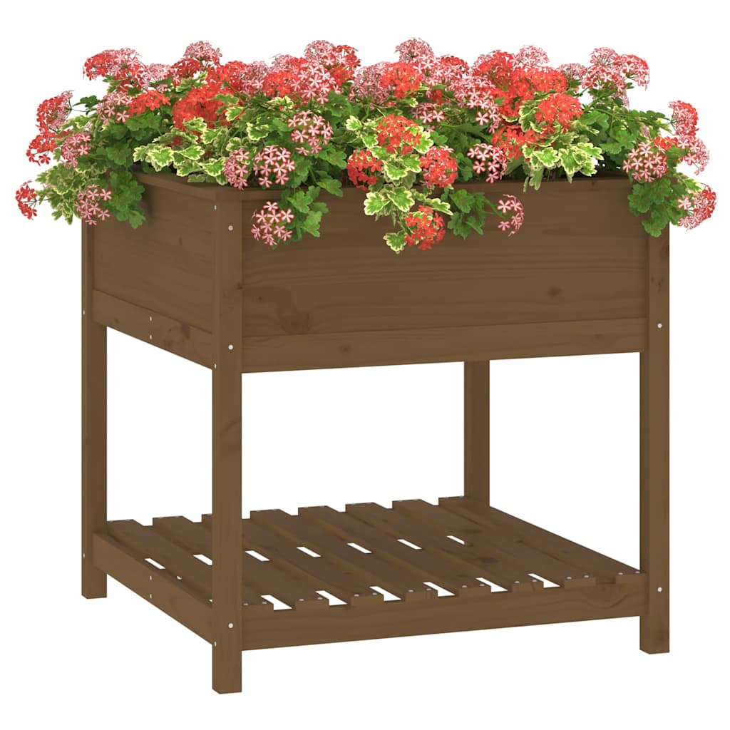 vidaXL Planter with Shelf Honey Brown 82.5x82.5x81 cm Solid Wood Pine 4